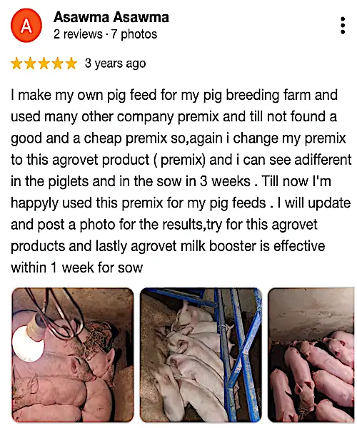 Growel Google Review-2.