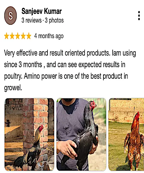 Growel Google Review-3