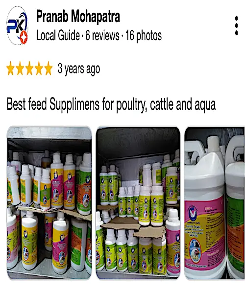 Growel Google Review-4