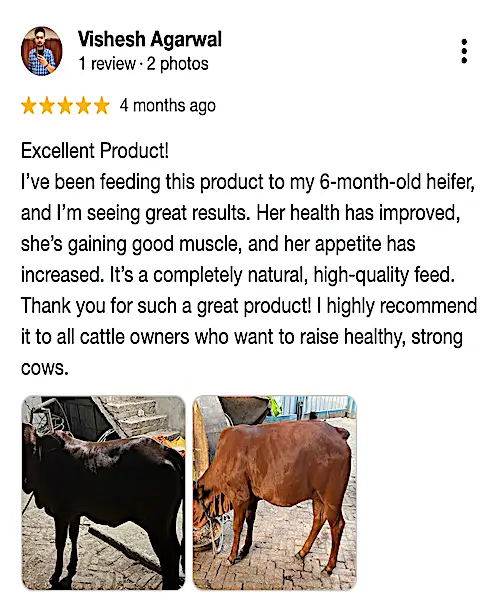 Growel Google Review-5