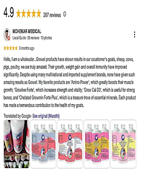 Growel Google Review-6