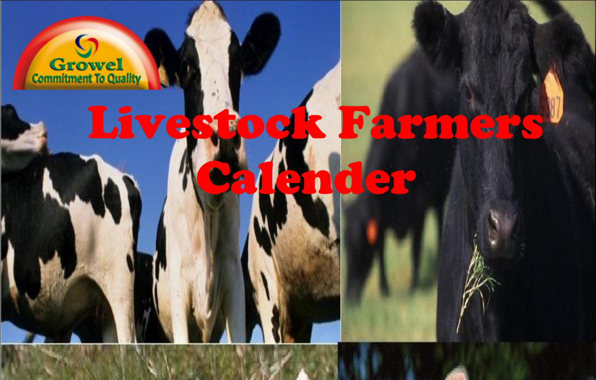 Livestocks-farmers