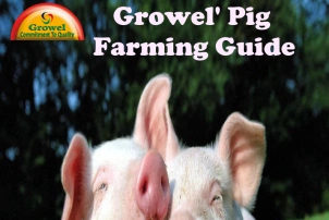 Pig Farming Guide