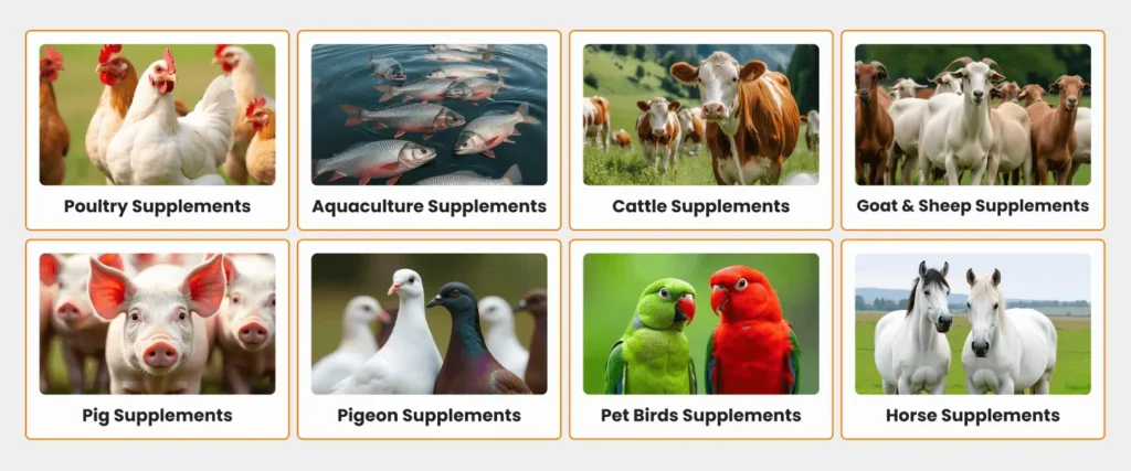Best Veterinary Products & Feed Supplements for Livestock in India