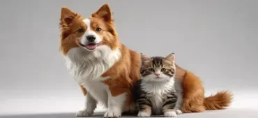 Dog-Supplements-phone
